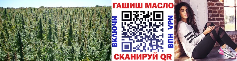 ТГК гашишное масло  Ивангород 