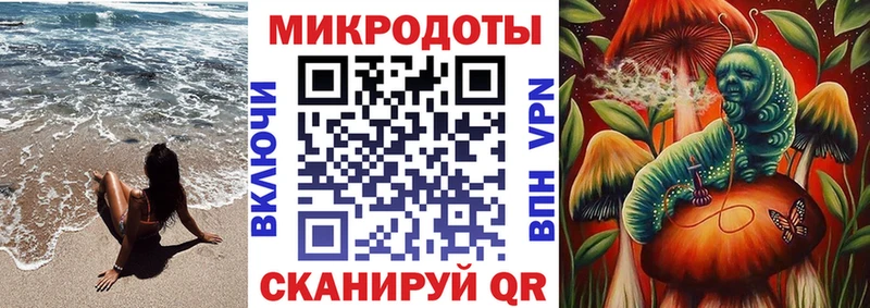 цена наркотик  Ивангород  blacksprut сайт  Галлюциногенные грибы Psilocybine cubensis 